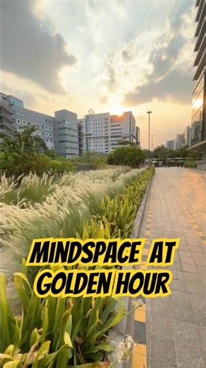 Golden Hour at MindSpace Tech Pak Hyderabad