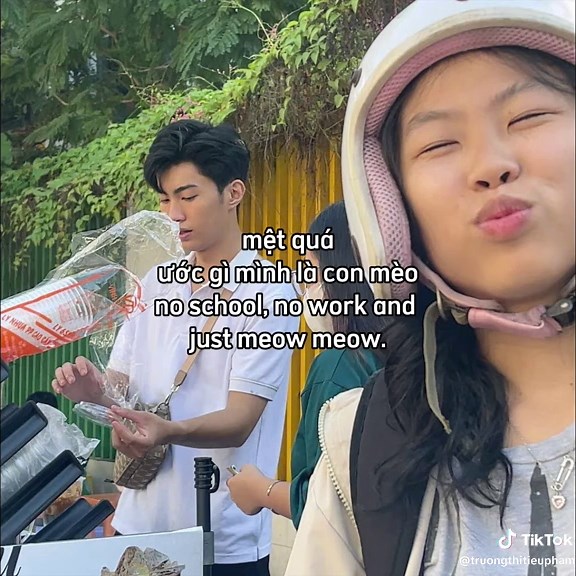 Creative Cat Montage with CapCut Editing Techniques