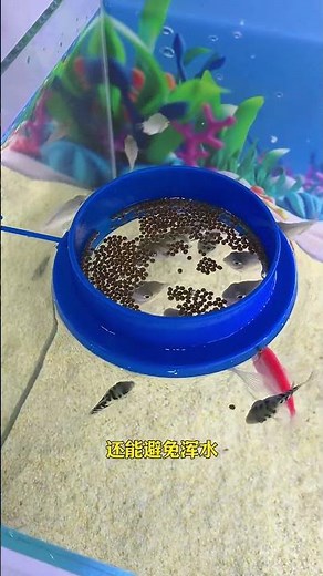 Fish tank feeding ring, practical and convenient