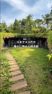 The Only One in Japan? An Underground Library