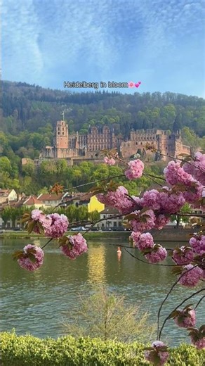 Spring in Heidelberg 🇩🇪🌸💕 #travel #europeantravel #travelmemories