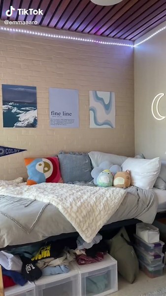 Archibald the WISE on TikTok