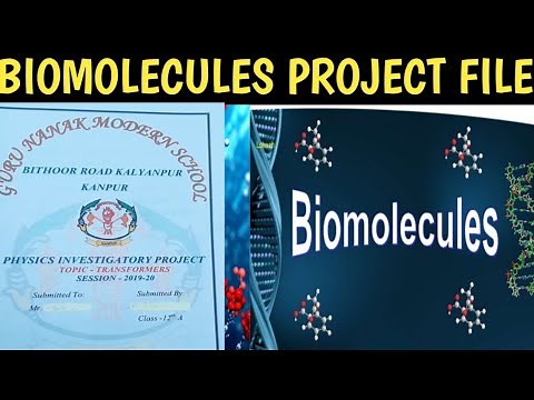 Biomolecules. Project file of Class 12 On Biomolecules. PROJECT FILE On Chemistry.