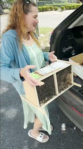 We Installed Bees WITHOUT Shaking Them… Did It Work? | Vlovebee Hive