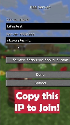 Minecraft Lifesteal Server IP Address