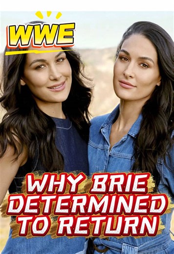 Why Is 42-Year-Old Brie Bella So Determined to Return to WWE#celebrity #WWE#livmorgan #nikkibella #briebella2