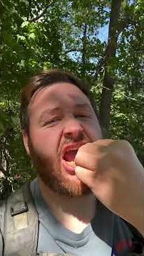 ID Chokecherry Fruit #Shorts ￼￼￼￼