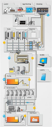 FLOWCHART ALERT 🚨 Check a complete egg processing setup in the flowchart below, so you can have a clear idea of how the different operations are linked all together. Of course, every setup is unique to your needs, so do not hesitate to ask questions below 👇 ✔️ Egg handling, loading, breaking, and separation ✔️ Eggshell processing ✔️ Liquid egg processing ✔️ Powder processing ✔️ Plant automation #EggProcessingSetup #LiquidEggProcessing #PowderProcessing | Sanovo Technology Group