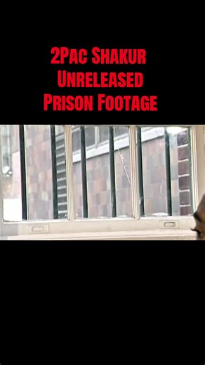 2Pac Shakur | tupac shakur