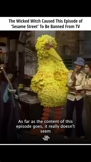 This episode was so controversial it got completely pulled from TV #sesamestreet #wicked #wizardofoz Click here to see more controversies involving muppets: https://www.ranker.com/list/muppets-controversies/patrick-thornton?utm_source=facebook&utm_medium=medium&utm_campaign=reelsclicks | Childhood Movie Memories | Facebook