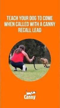 How to Teach Recall Around Reactive Dogs | Canny Recall Lead