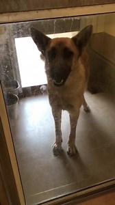 6.4K views · 82 reactions | RESCUED PER PH  LAST CALL! STORM IS...