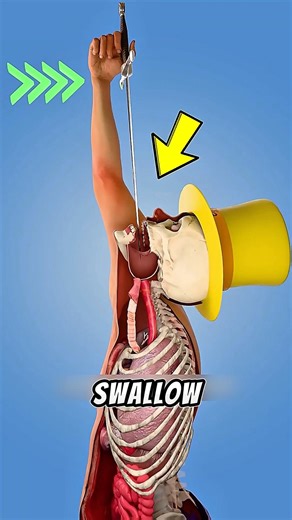 How Do Magicians Really Swallow Sword? 😱