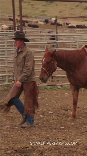 From Ranch to Table since 1968