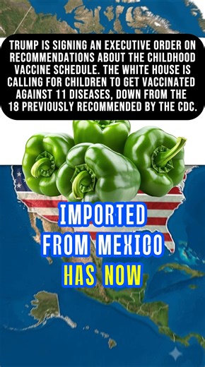 Stop eating these jalapenos immediately ‼️ #outbreak #healthalert