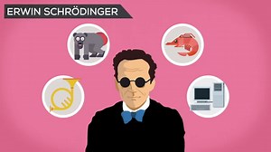 What Is Life? Is Death Real?