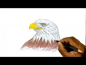 How to Draw an Eagle (narrated)