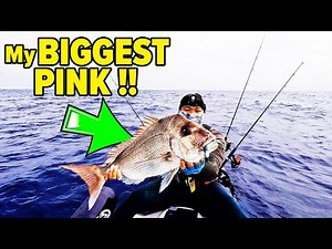 Perth SNAPPER Fishing - Kayak Fishing