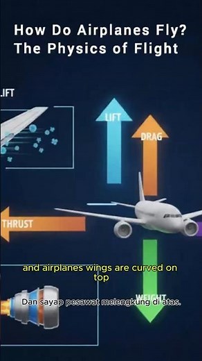How Do Airplanes Fly? 32‑Second 3D Explainer #3danimation #learnwithfun #science #facts #universe