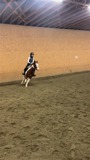 #shoni#irsksportsponni🔥#sprang