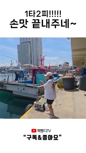 #shorts 1타2피 손맛 끝내주네~~~!!!!!!! #fishing #생활낚시