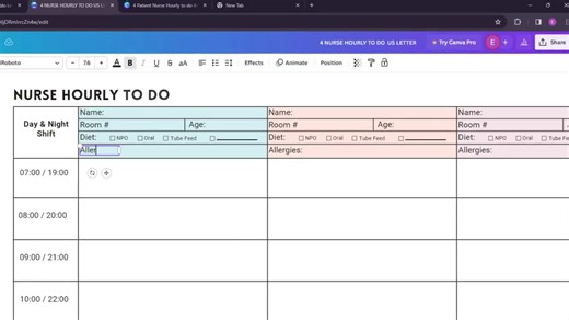 Editable Hourly Nursing Shift Planner, 6 Patient Report Sheet Nurse Hourly to Do, Nursing Flow Sheet Shift Planner, Nurse Task Sheet Bundle - Etsy Australia
