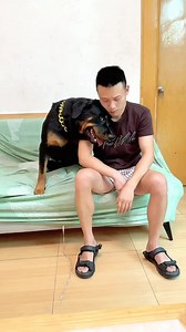 Sometimes a dog-beating stick works well 😂😅 #dog #dogfunny #yituo | Dog Yi Tuo