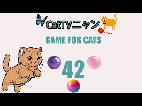 猫の本能全開！5時間の狩りタイム🎯 | CatTVニャン #42
