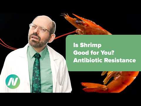 Is Shrimp Good for You? Antibiotic Resistance