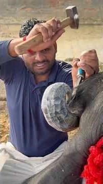 कैसी कला हमारी सुंदर रचना #cow #baffalo #farmanimals #bull #dairyherd #farmanimalslist #animals