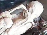 Video: Two new 'alien mummies' and an 'alien skull' documented in Peru | Daily Mail Online