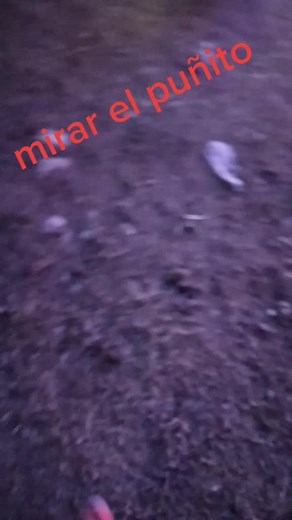 Videos de Cars_en_español_ (@cars_en_espanol) con “sonido original - Cars_en_español_”