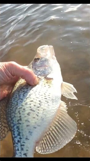 That is a slab 🎣🫴