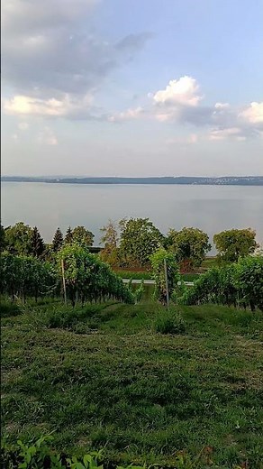 Die Fischerin vom Bodensee
