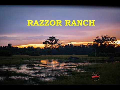 RAZZOR RANCH, Zolfo Springs FL Nature and Hunting Preserve Guide Ryan - Interview