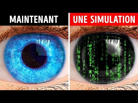 Nous vivons dans une simulation informatique. Ou pas...?