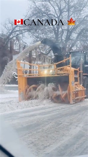 The Most Canadian Way to Remove Snow