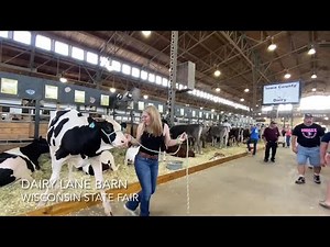 Caring for the cows at the Wisconsin State Fair