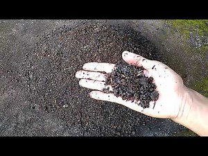 How to Make Growth Medium for Plants at Home Easily