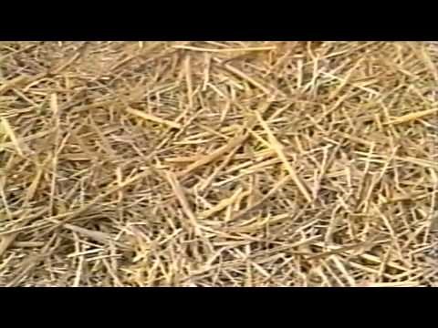 Pro-Chopper Straw and Mulch Blower | Pro Series Products