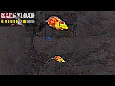 RATnload Thermal Ratting at Recycling Depot