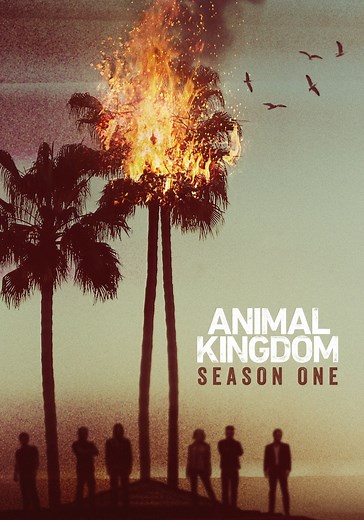 Animal Kingdom Season 1 - watch episodes streaming online