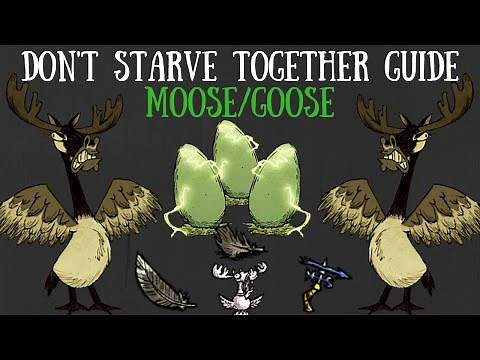 Don't Starve Together Guide: Moose/Goose