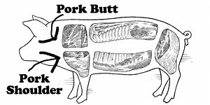 Pork Shoulder vs Pork Butt