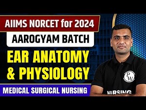 Ear Anatomy and Physiology | Medical Surgical Nursing | AIIMS NORCET 6 2024 | DSSSB | UPPSC Nursing
