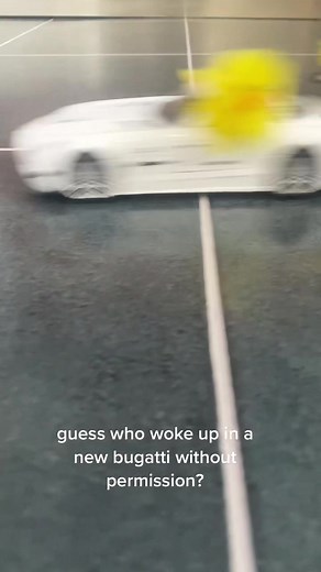 Waking Up to Fluffy Chickens and Easter Vibes