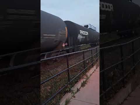 BNSF Train in White Rock BC 🇨🇦.