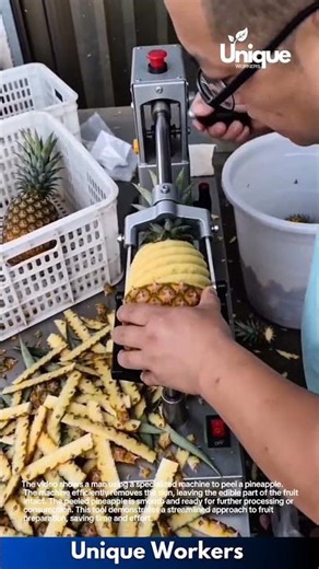 Pineapple Peeling Machine: Efficient Fruit Processing