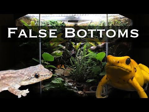 DIY False Bottom for Bioactive Vivariums (Explained Quickly)