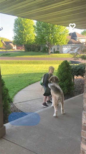 When your dog is more excited for school to end than you are... #DevotedPup #TrueCompanions | Poke My Heart